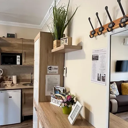 Silver Apartment Eger