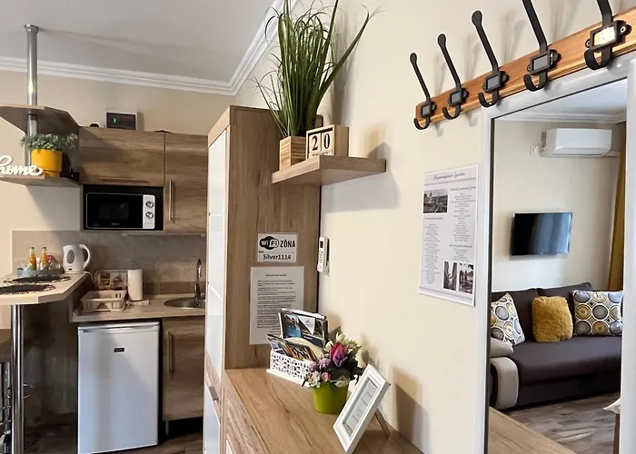 Silver Διαμέρισμα Έγκερ